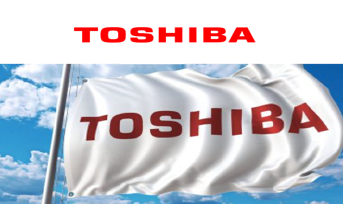 İzmir Bornova Toshiba Kombi Klima Servisi